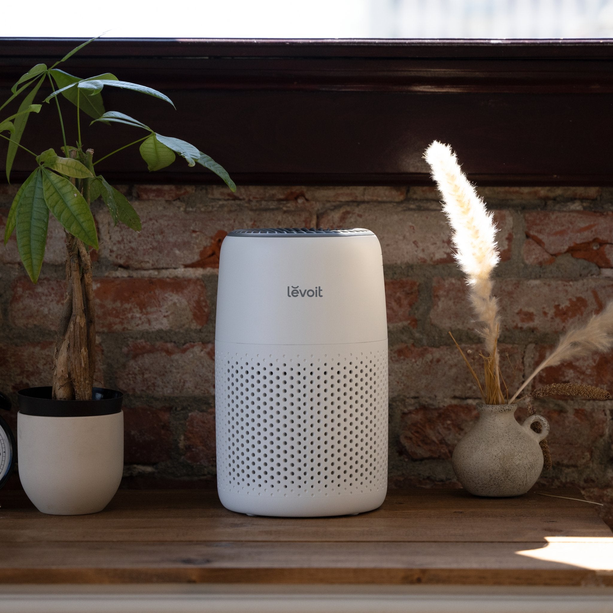 levoit-core-mini-air-purifier-white-379890.jpg