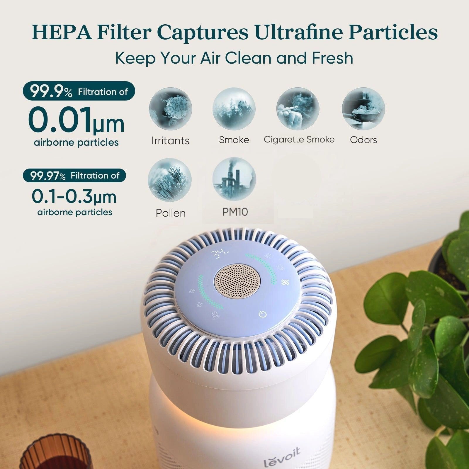 levoit-sprout-air-purifier-9101992.jpg