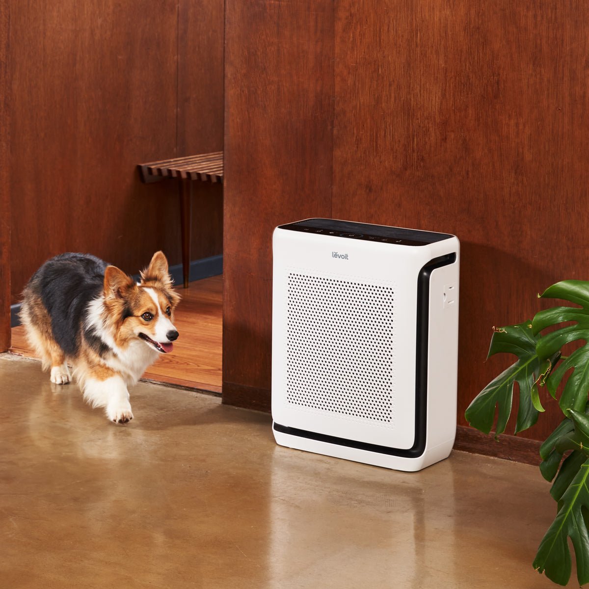 vital-200s-smart-true-hepa-air-purifier-166535.jpg